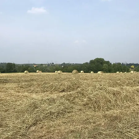 Agriturismo Corte Salandini Séjour à la ferme *