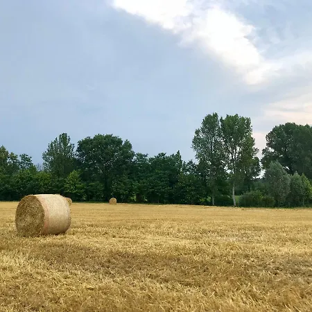 Séjour à la ferme Agriturismo Corte Salandini